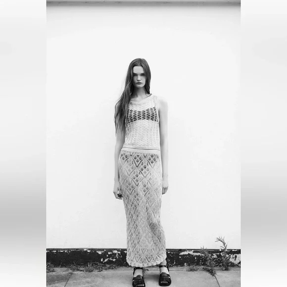 Zara NWT Mesh Metallic Thread Skirt Size L